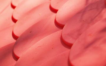 Elm plastic roof costs