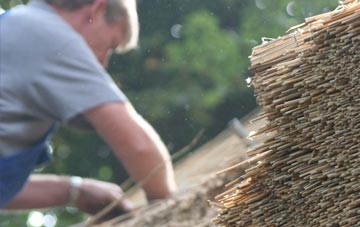 professional Elm thatchers