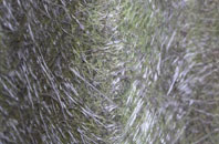 Elm fibreglass roof work