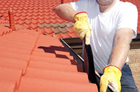 Elm roof cleaners